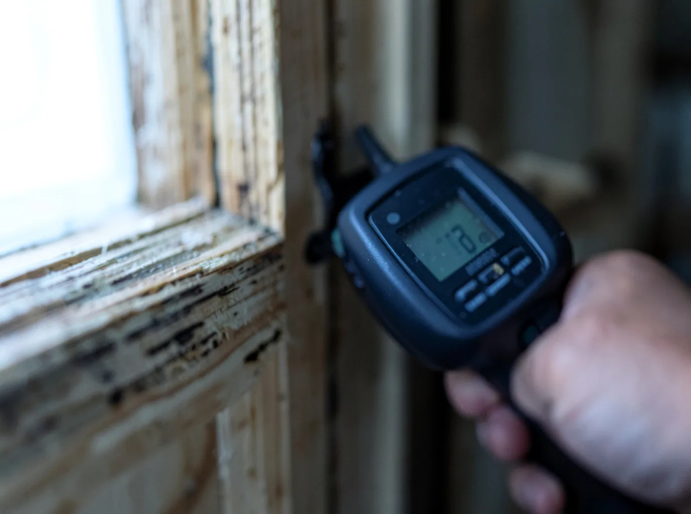 Moisture Inspection And Documentation in Westport, TN